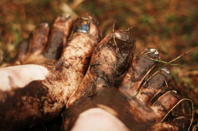 Happiness Is... Dirt