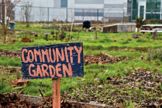 Community Gardens