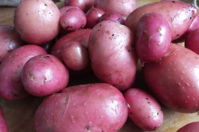 How To Grow Better Potatoes