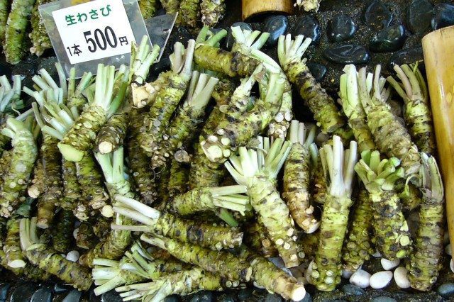 How To Grow Hydroponic Wasabi