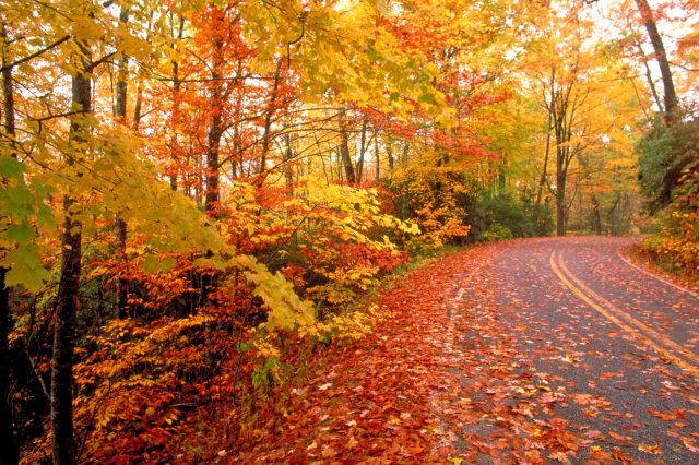 How to Make the Best Compost