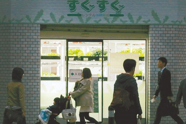 Hydroponic Plots for Rent: Tanabatake Sukusuku, Tokyo