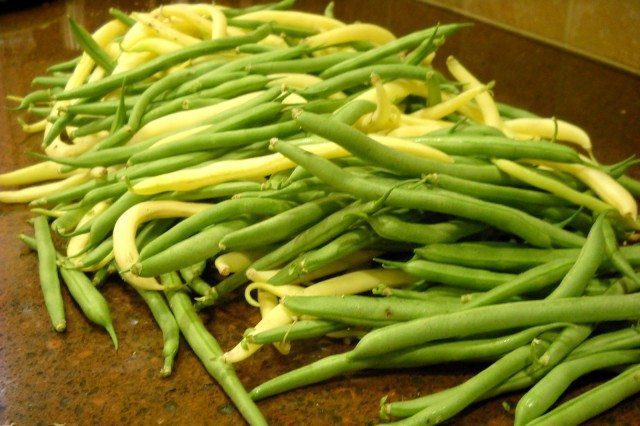 Keep Your Garden Harvest Fresh Longer