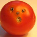 Latest Monsanto Tomato Patent A Fraud
