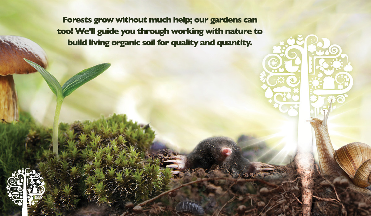 Living Organic Soil: Working With Nature | Garden Culture Magazine