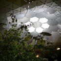 Lowline Solar Lighting: Underground Green Space