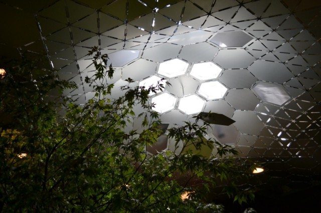 Lowline Solar Lighting: Underground Green Space