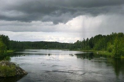 Can natural ecosystems call for rain?