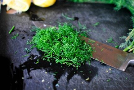 Many Delicious Reasons for Growing Dill