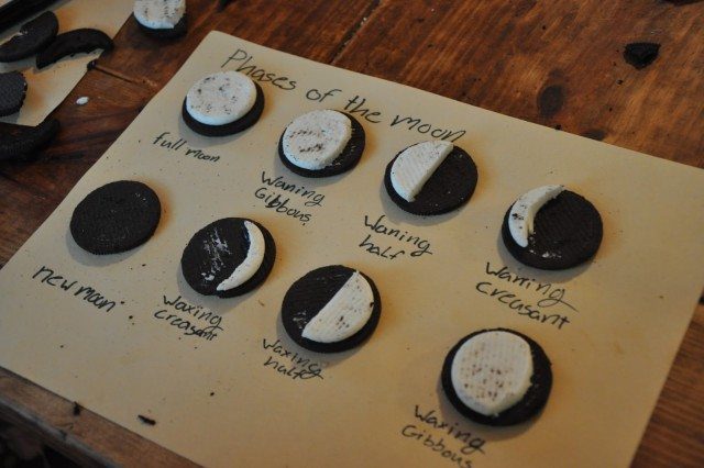 Moon Phases Affect Your Garden: Indoors or Outdoors