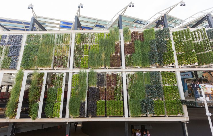 Movable Vertical Farm Panels: US Pavilion, Milan Expo 2015