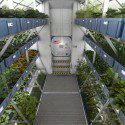 Hydroponic Grow Room on the International Space Station (NASA)