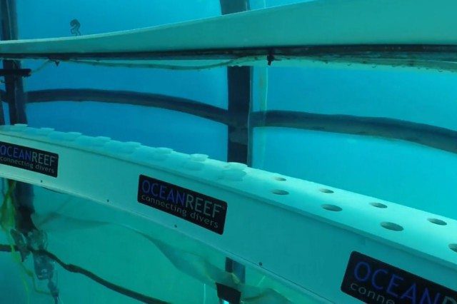 Nemo's Garden: Underwater Farming