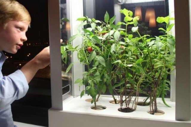 NIWA - The Latest New Smart Food Tech Gadget