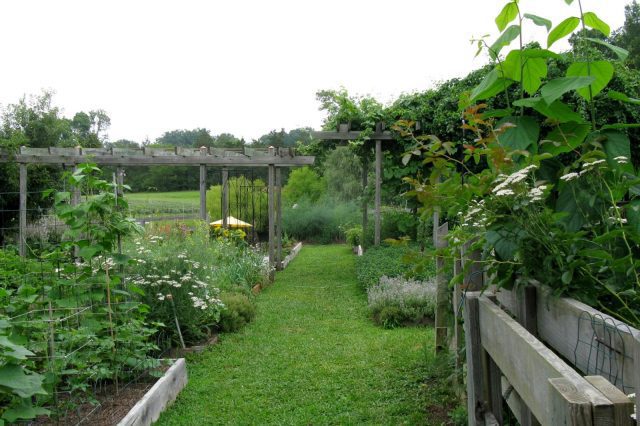 Organic Farm Contest: A Gift of Good Land