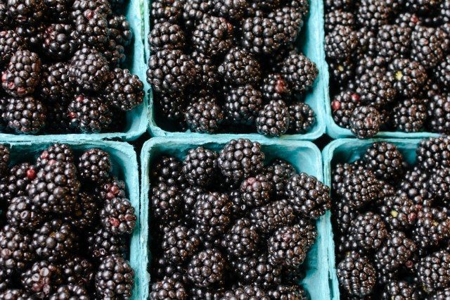 Organic Food: Demographics & Sales Skyrockets