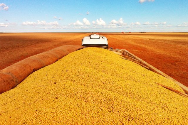 Phosphorous Fertilizer Excess: Industrial Farming the Tropics