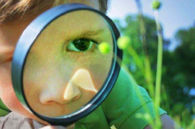 Close Plant Inspection