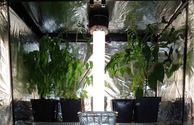 Poor Indoor Garden Design