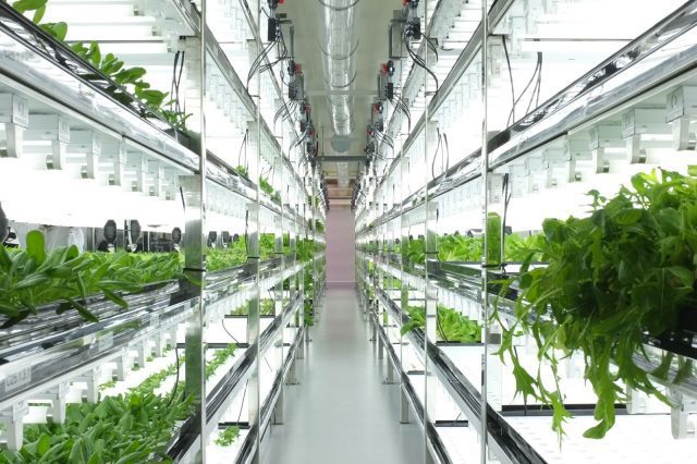 Post-Organic Produce - 100% Pesticide Free