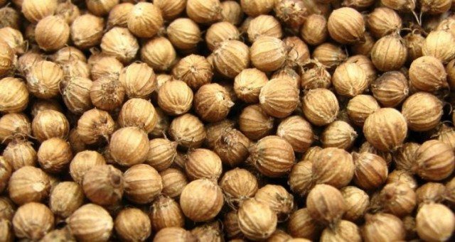 Some plants are better started from seed, and others you're farther ahead with cuttings.