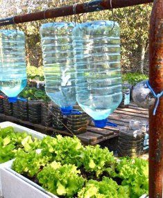 Aquaponics for tomatoes Vertical Farming Crops Market to Eyewitness Massive Growth rate of 26.2% Globally, by 2027