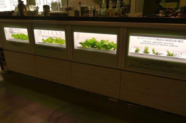 Panasonic SmartHome Hydroponic Garden Counter