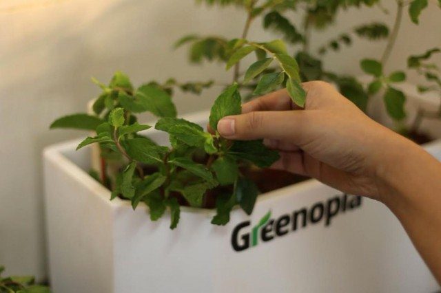 Smart Gardening Comes to Urban India