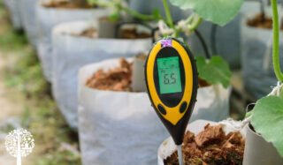 PH meter resting in soil in a canvas plant pot.