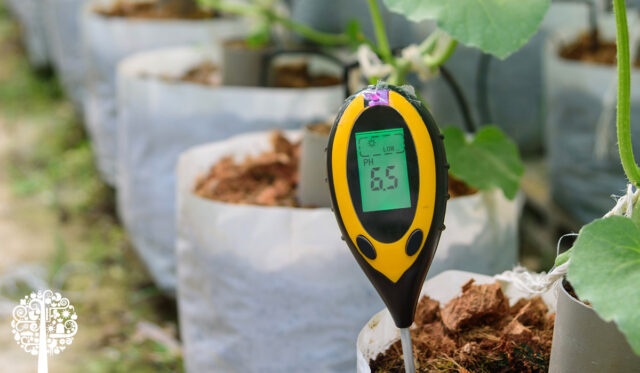 How To Balance Your Soil pH | Garden Culture Magazine