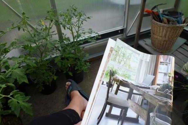 Spend Time with Your Plants - Every Day