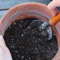 Sterilizing Potting Soil: Is It Necessary?