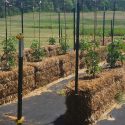 Straw Bale Gardening with Microbe Makers Compost Tea
