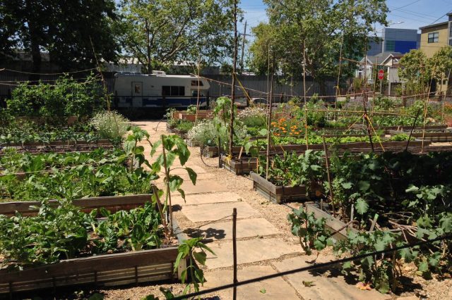 Sustainable city food systems include strong urban agriculture