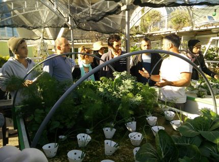 Mandy Falk at Green In The City in Tel Aviv explains hydroponics and urban gardening to a workshop group in Tel Aviv.
