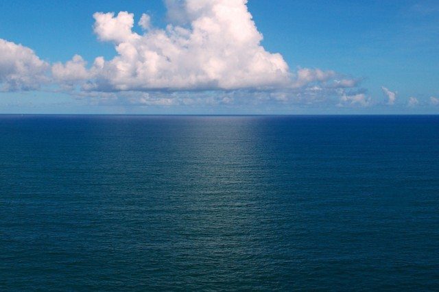 The Next Big Thing: Ocean Vertical Farming