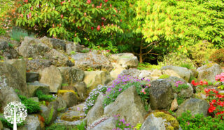 A garden with large boulders and colourful plants.