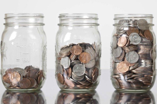 Tight Budget? An Affordable Grow Box