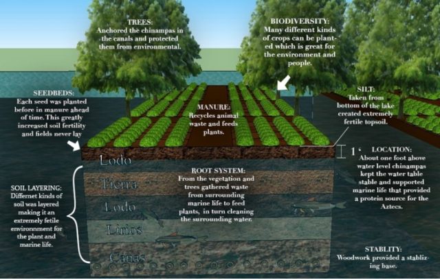 chinampas-urban-farming-in-mexico-city-garden-culture-magazine