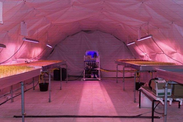 Tunnel Farming London: Growing Underground