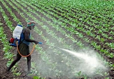 UN Proves Agricultural Pesticides Hazardous