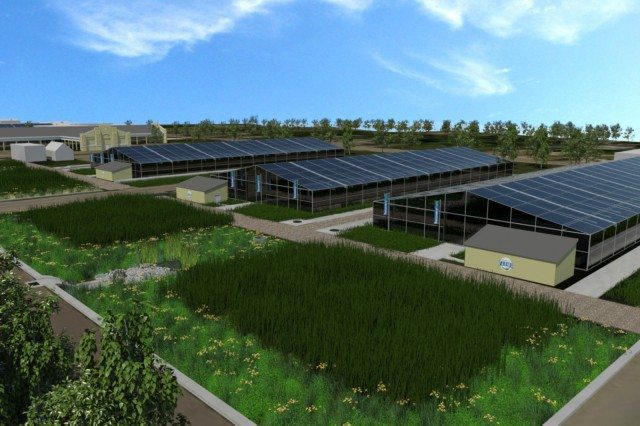 Urban Farming Detroit: 2015 - Recovery Park