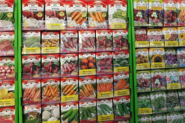 Herb, Fruit & Vegetable Seed Patenting: Loss of Food Sovereignty