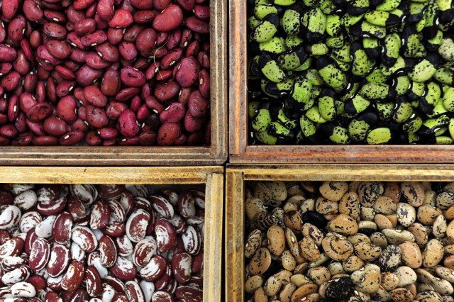 Vegetable Seed Saving (CIAT Gene Bank)