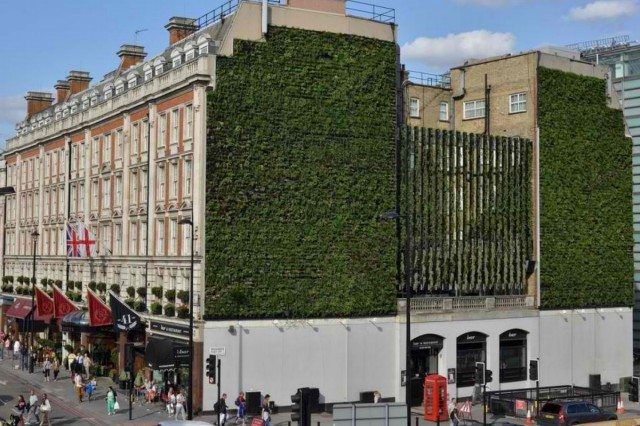 Huge Vertical Garden in London: The Ruebens