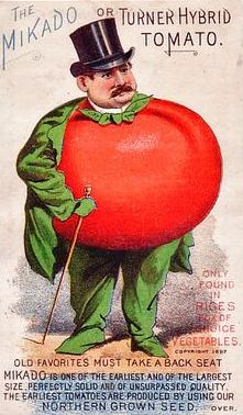Victorian Tomato Seed Marketing
