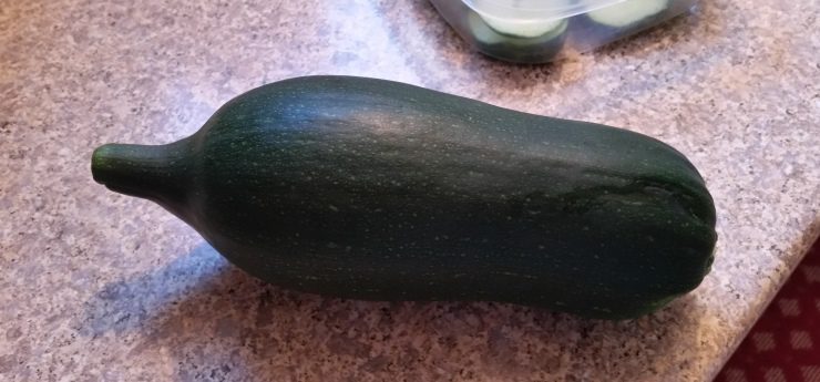 Weird Zucchini: Variety or Growing Issue?