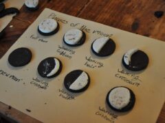 Moon Phases Affect Your Garden: Indoors or Outdoors