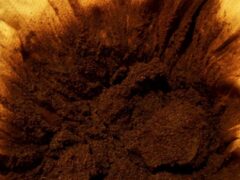 Coffee Grounds: A Gardener's Friend