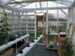 Build It Yourself: Hydroponic Greenhouse